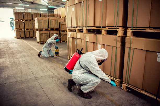 Best Termite Control Services  in Mapleton, UT