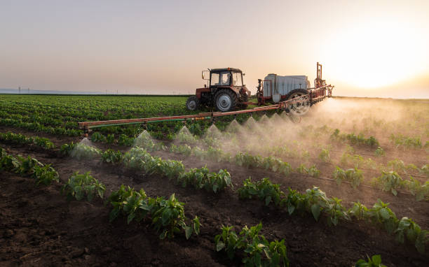 Best Pest Control Cost  in Mapleton, UT