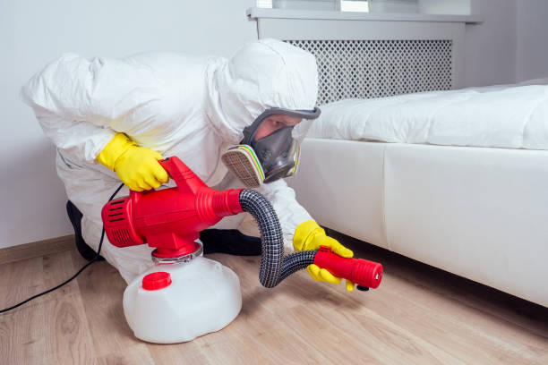 Best Affordable Exterminators  in Mapleton, UT
