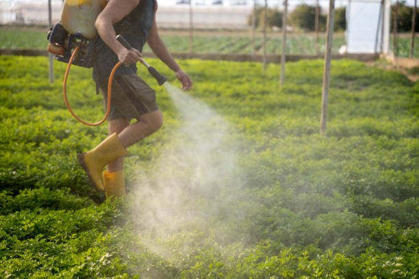 Best Best Pest Control Companies  in Mapleton, UT