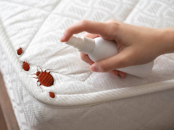Professional Pest Control in Mapleton, UT