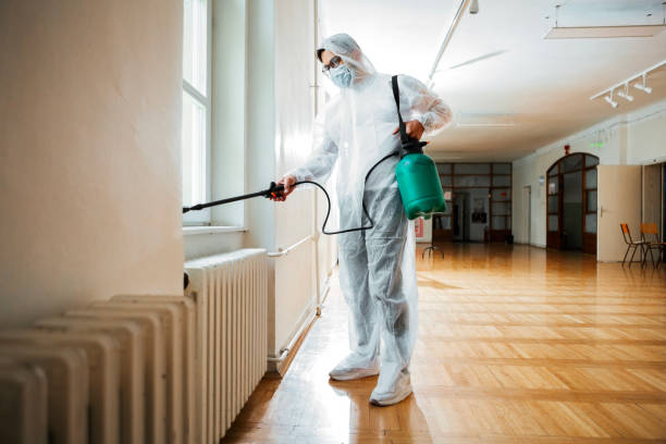 Best Affordable Pest Control Services  in Mapleton, UT
