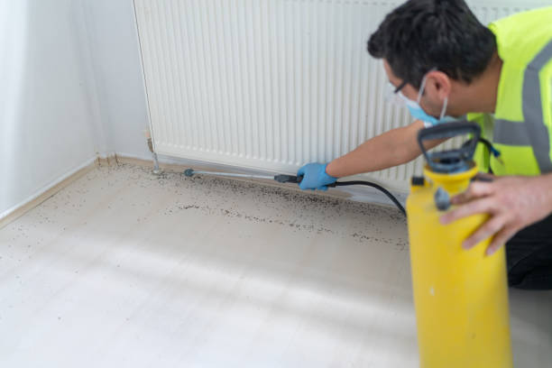 Best Ant Control Services  in Mapleton, UT